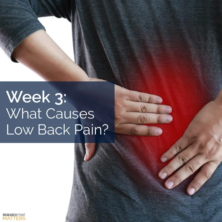 What Causes Low Back Pain?